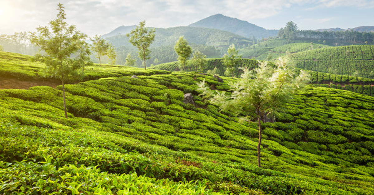 Best 20 Places To Visit In India In Summer - Local Tourism